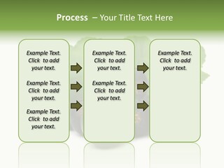 Leaf Ribes Nigrum On White PowerPoint Template