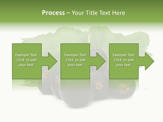 Leaf Ribes Nigrum On White PowerPoint Template