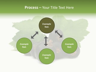 Leaf Ribes Nigrum On White PowerPoint Template