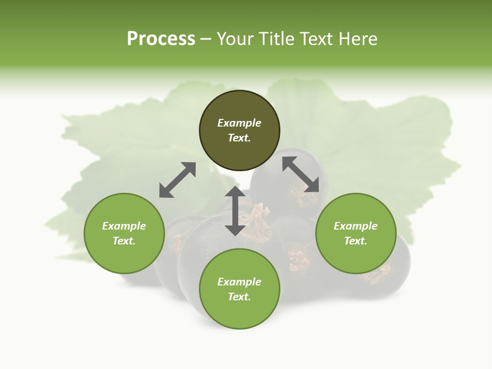 Leaf Ribes Nigrum On White PowerPoint Template