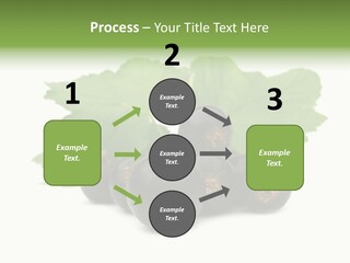 Leaf Ribes Nigrum On White PowerPoint Template