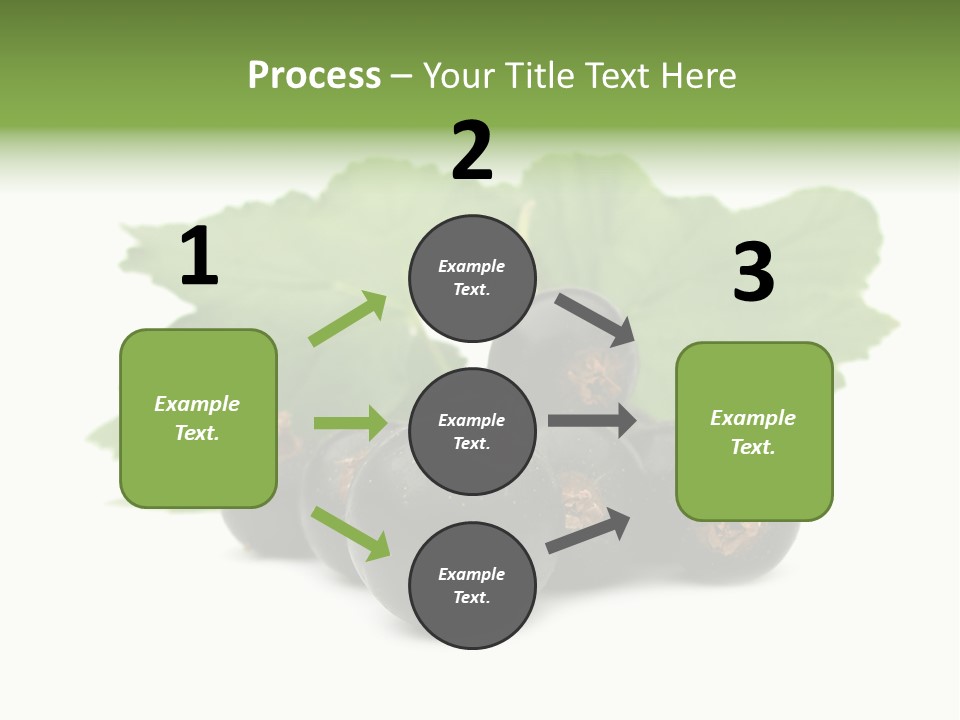Leaf Ribes Nigrum On White PowerPoint Template
