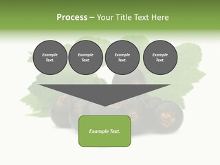 Leaf Ribes Nigrum On White PowerPoint Template