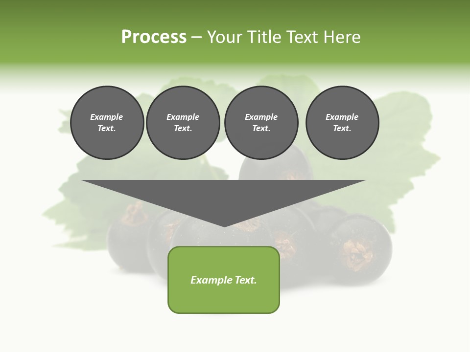 Leaf Ribes Nigrum On White PowerPoint Template