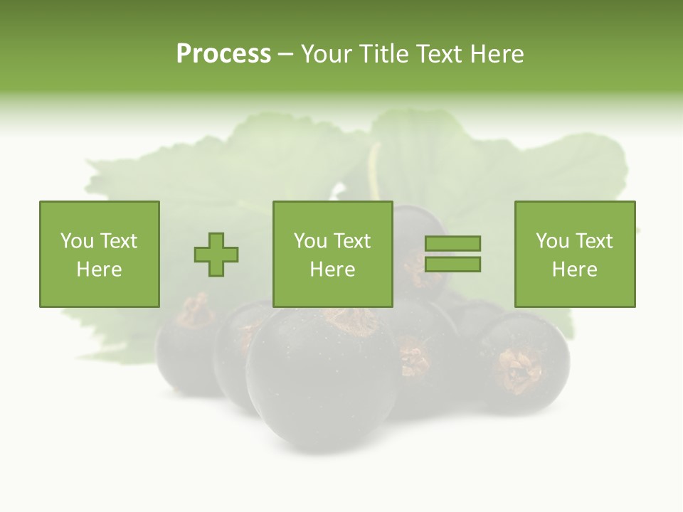 Leaf Ribes Nigrum On White PowerPoint Template
