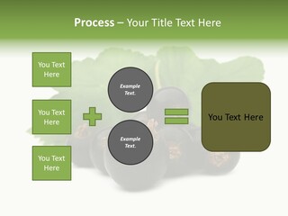 Leaf Ribes Nigrum On White PowerPoint Template