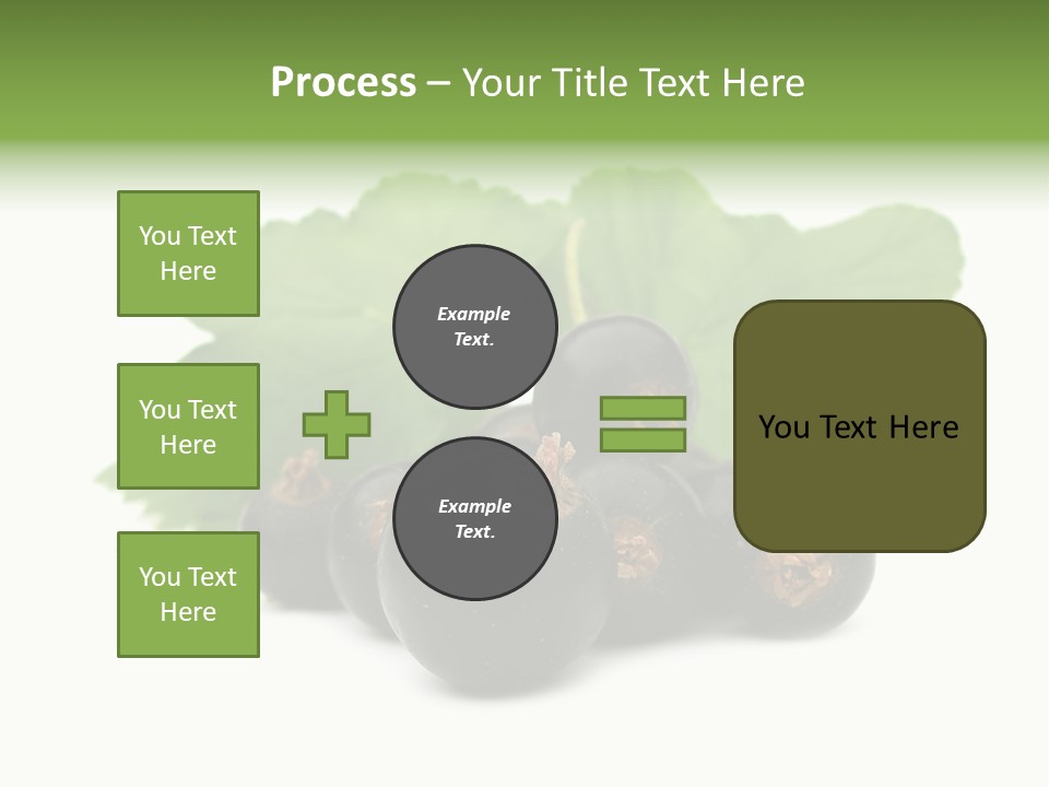 Leaf Ribes Nigrum On White PowerPoint Template