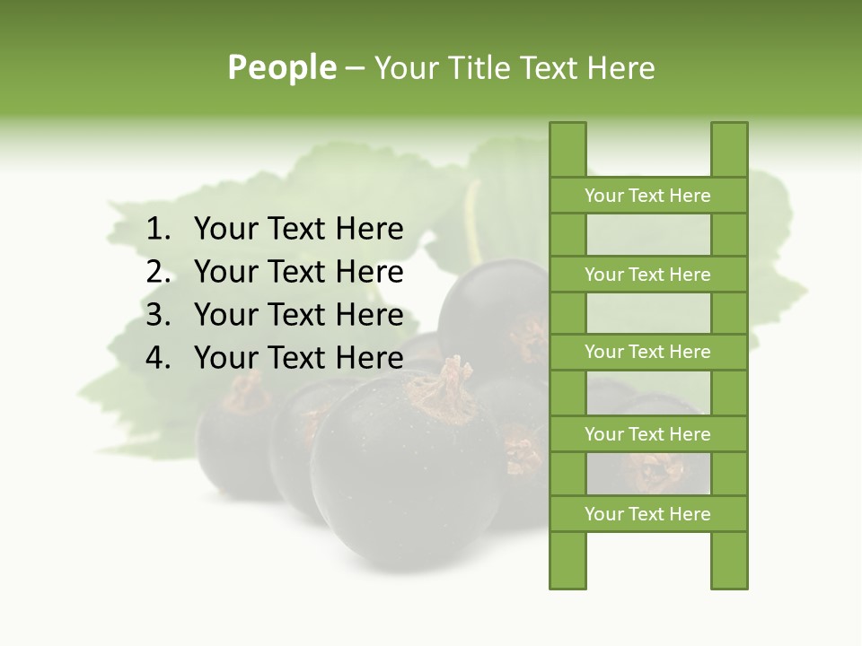 Leaf Ribes Nigrum On White PowerPoint Template