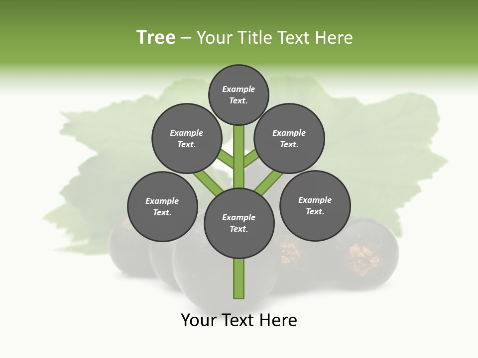 Leaf Ribes Nigrum On White PowerPoint Template
