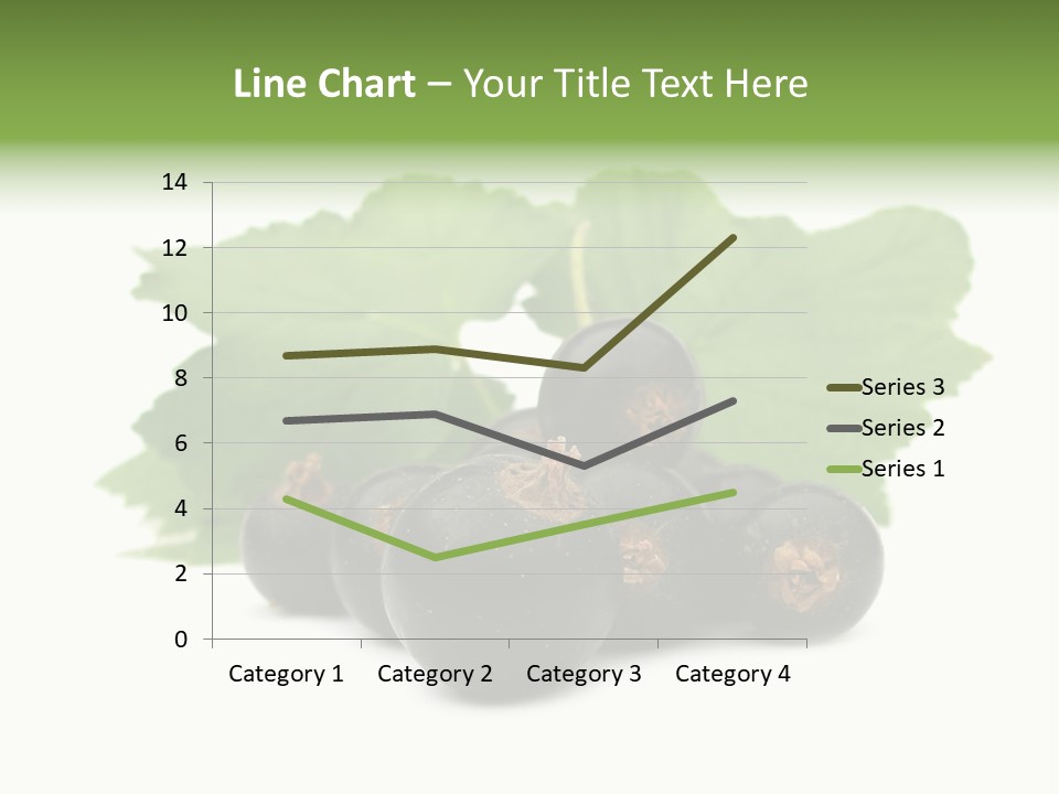 Leaf Ribes Nigrum On White PowerPoint Template