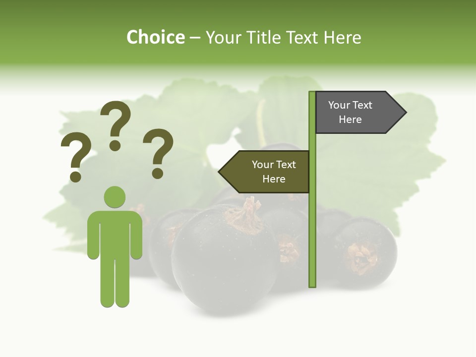 Leaf Ribes Nigrum On White PowerPoint Template