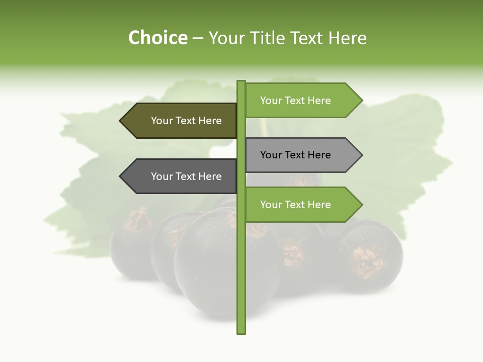 Leaf Ribes Nigrum On White PowerPoint Template