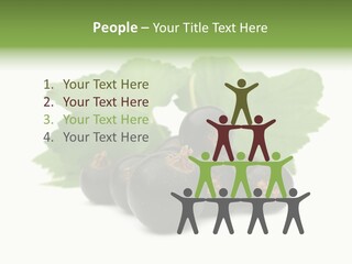 Leaf Ribes Nigrum On White PowerPoint Template