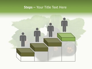 Leaf Ribes Nigrum On White PowerPoint Template