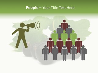 Leaf Ribes Nigrum On White PowerPoint Template
