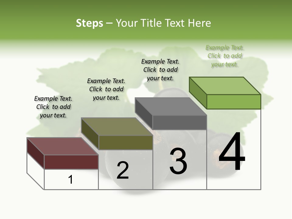 Leaf Ribes Nigrum On White PowerPoint Template
