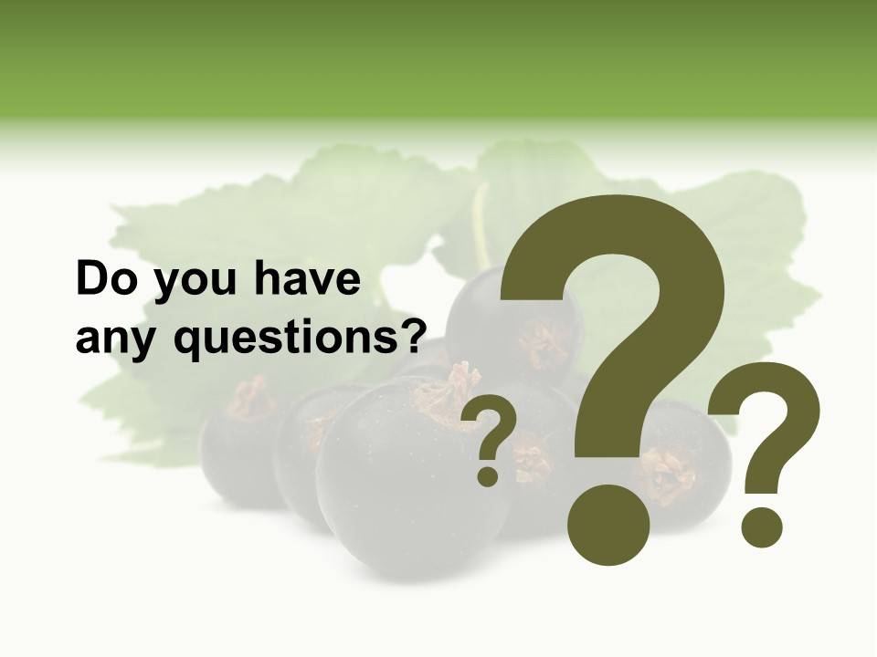 Leaf Ribes Nigrum On White PowerPoint Template