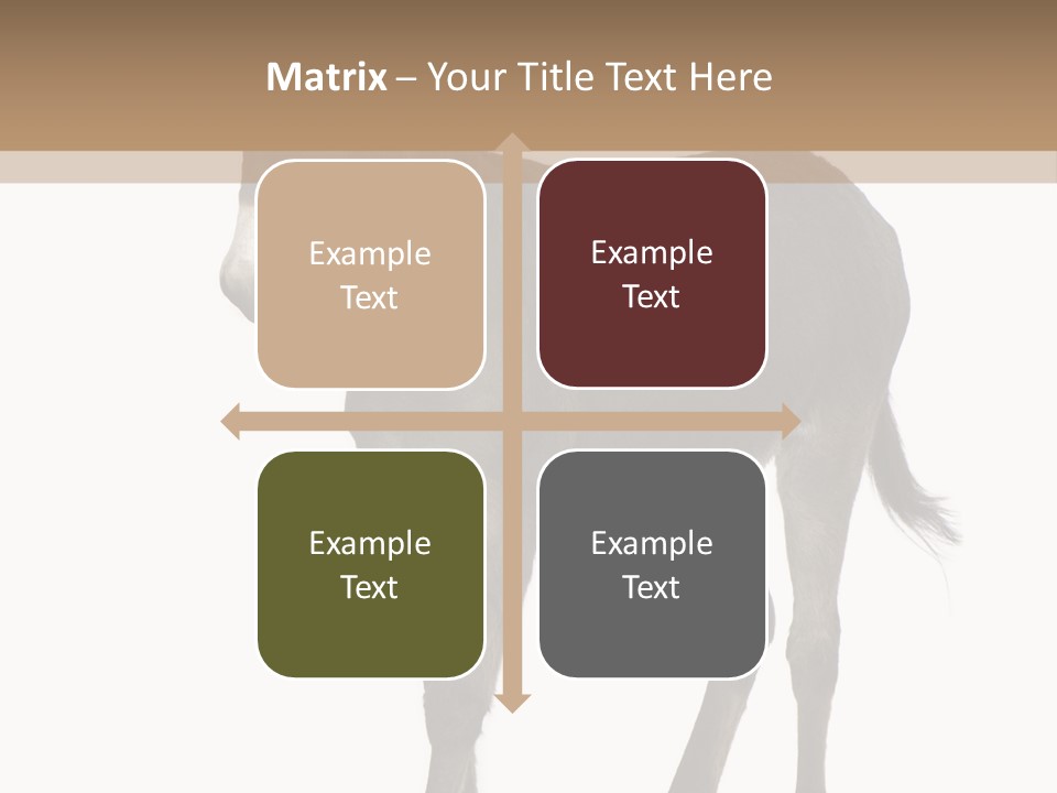 Ass Headstrong Dun PowerPoint Template