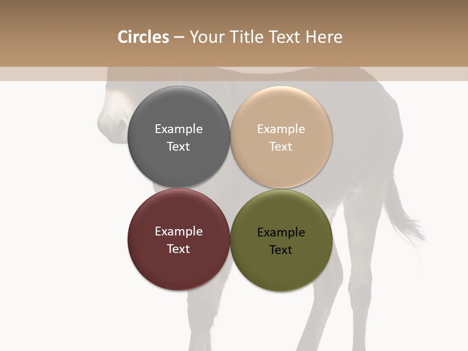 Ass Headstrong Dun PowerPoint Template