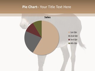 Ass Headstrong Dun PowerPoint Template