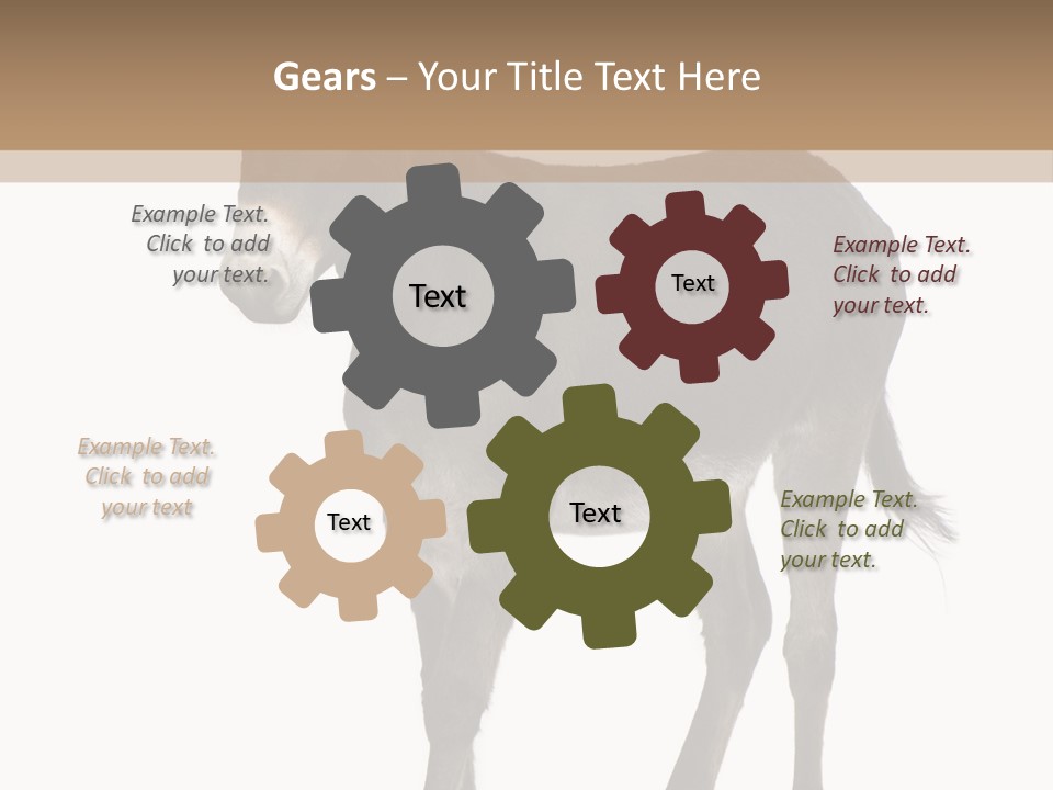 Ass Headstrong Dun PowerPoint Template