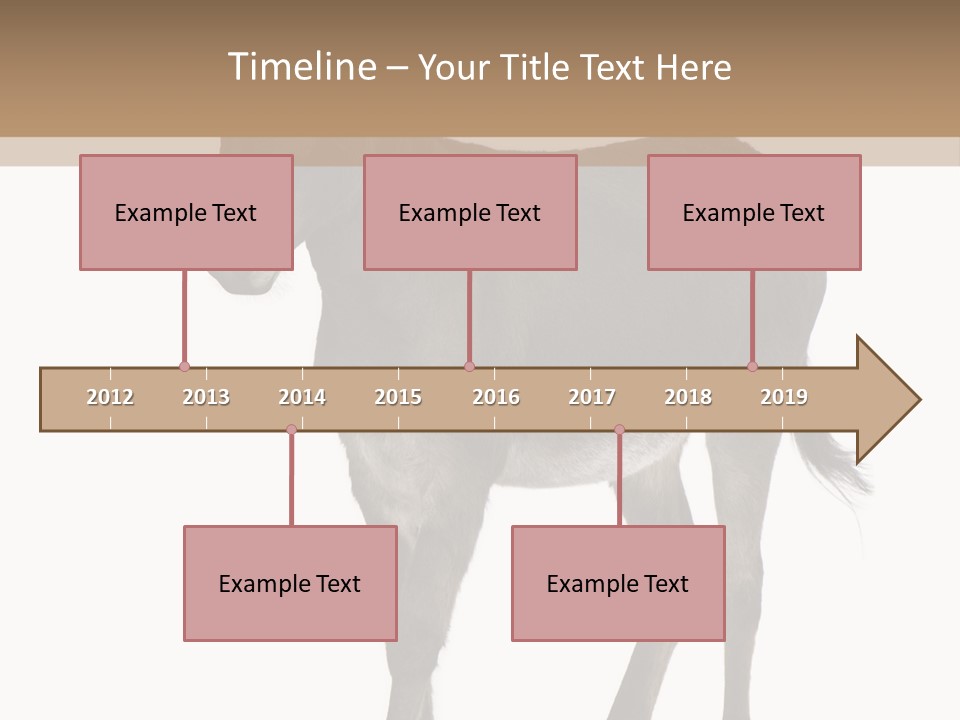 Ass Headstrong Dun PowerPoint Template