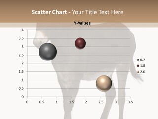 Ass Headstrong Dun PowerPoint Template