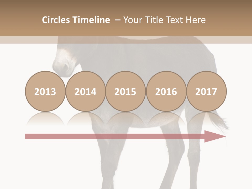 Ass Headstrong Dun PowerPoint Template