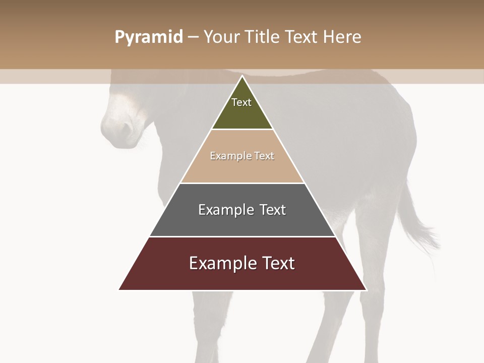 Ass Headstrong Dun PowerPoint Template