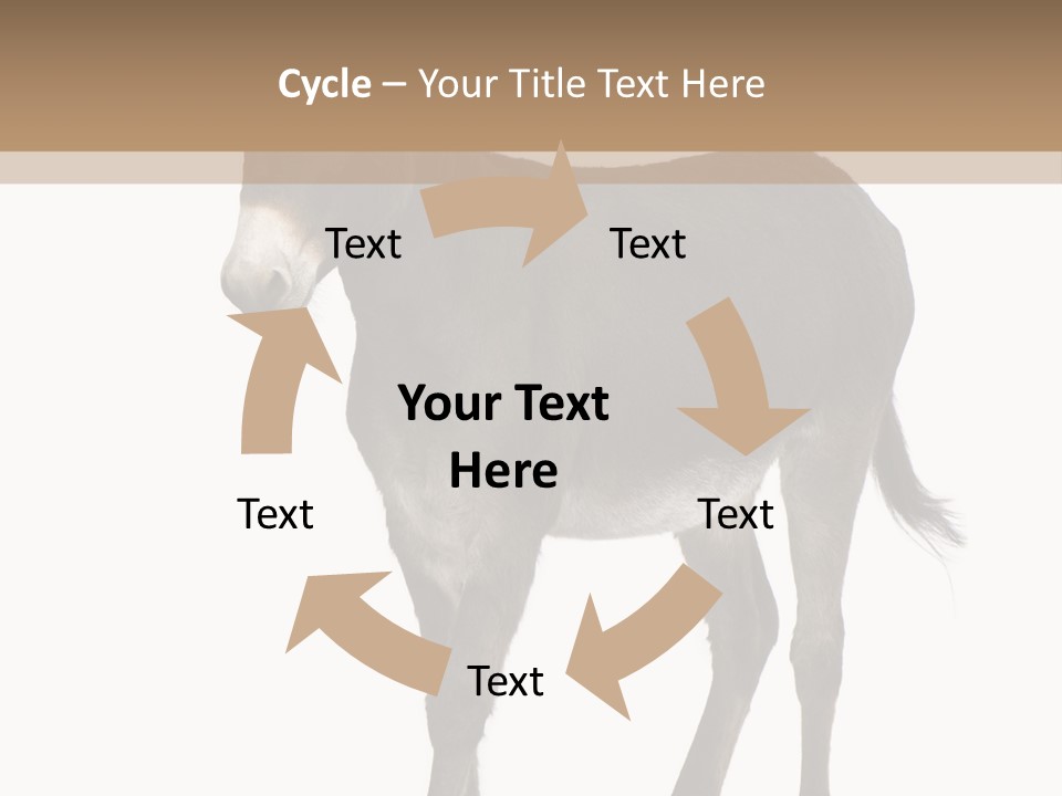 Ass Headstrong Dun PowerPoint Template