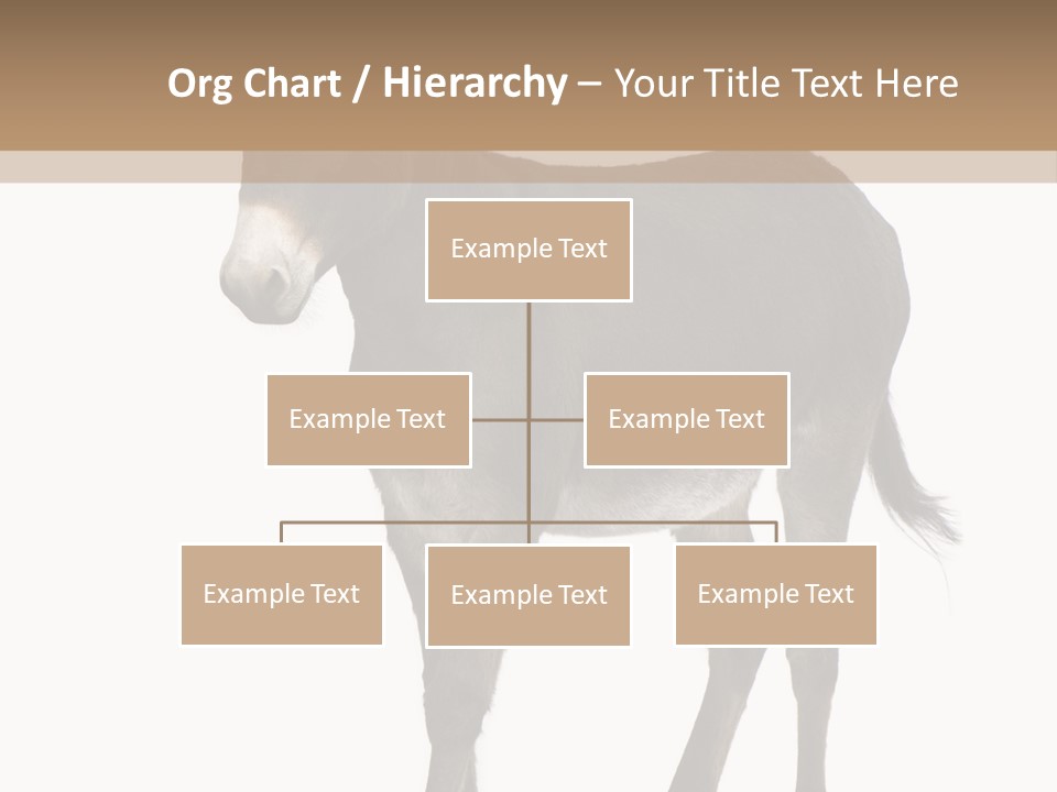 Ass Headstrong Dun PowerPoint Template