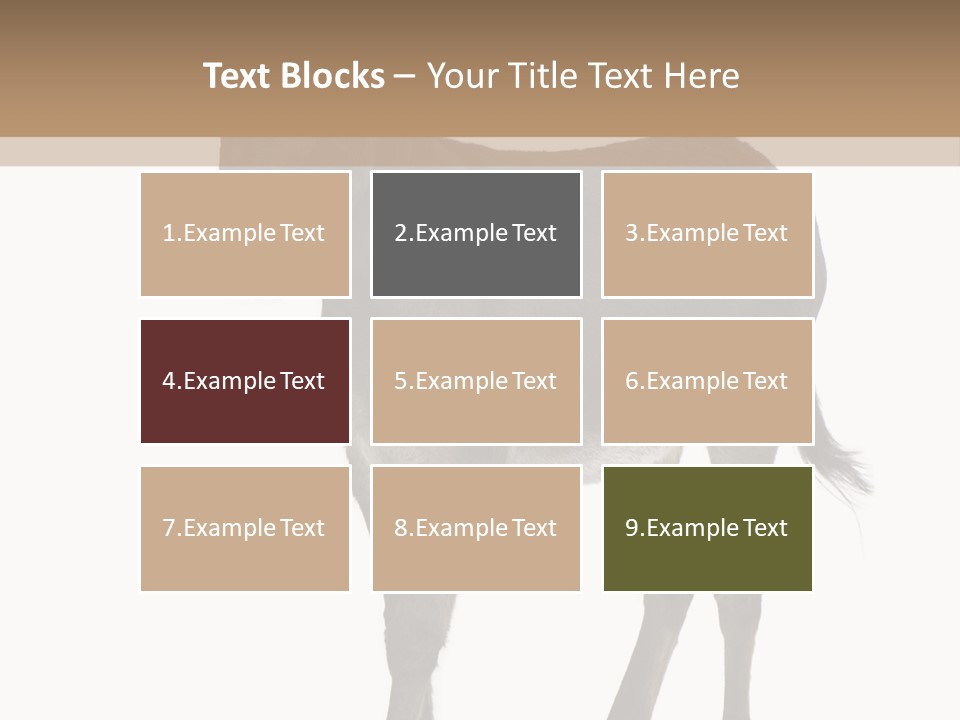 Ass Headstrong Dun PowerPoint Template