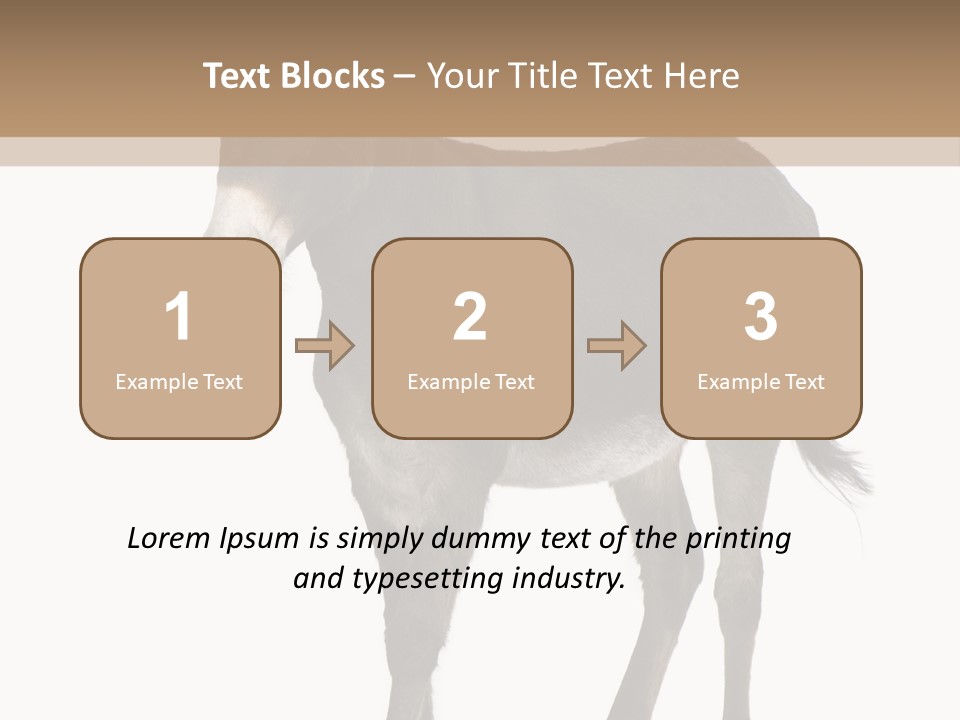 Ass Headstrong Dun PowerPoint Template