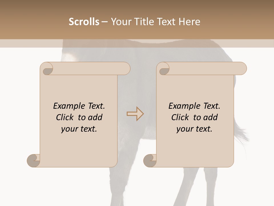 Ass Headstrong Dun PowerPoint Template