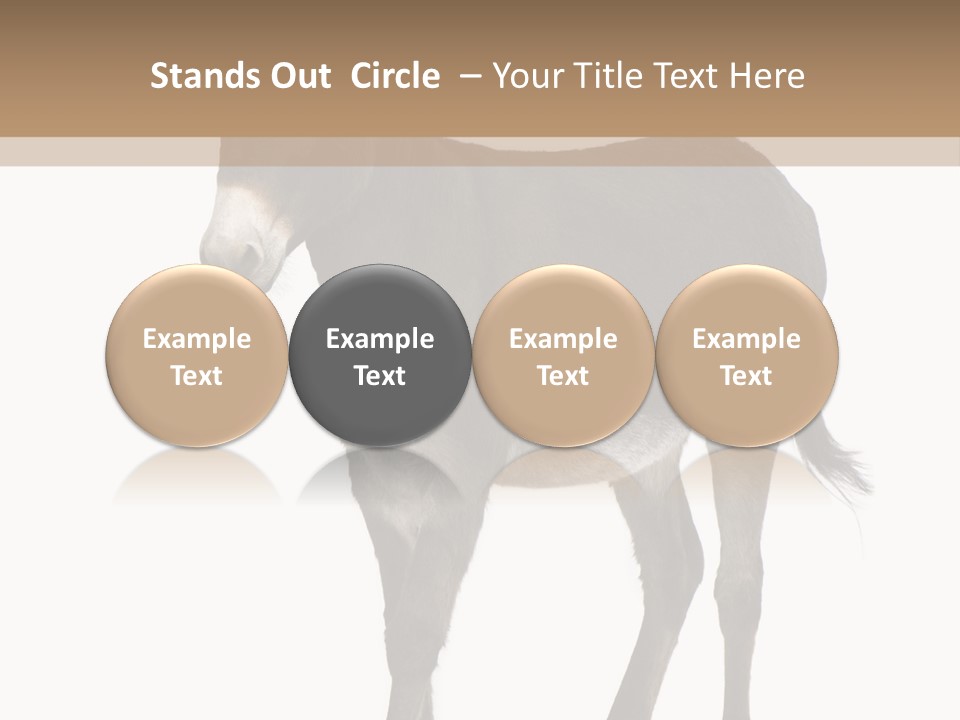 Ass Headstrong Dun PowerPoint Template