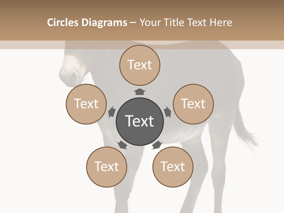 Ass Headstrong Dun PowerPoint Template