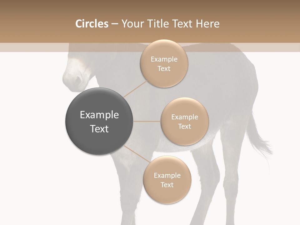 Ass Headstrong Dun PowerPoint Template