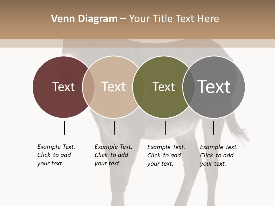 Ass Headstrong Dun PowerPoint Template