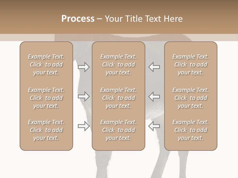 Ass Headstrong Dun PowerPoint Template