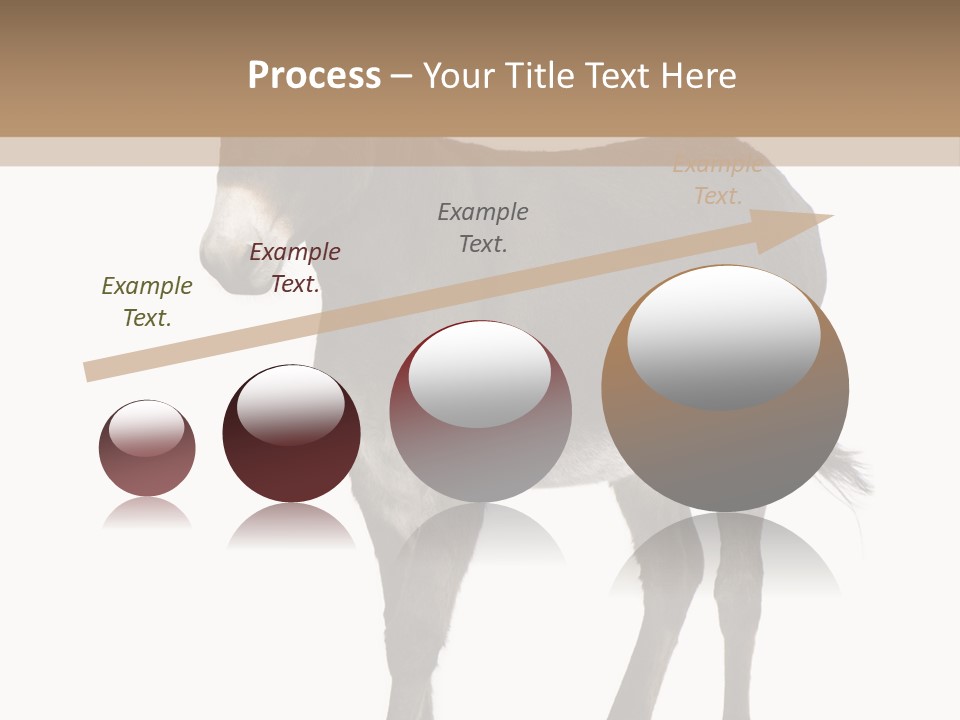 Ass Headstrong Dun PowerPoint Template