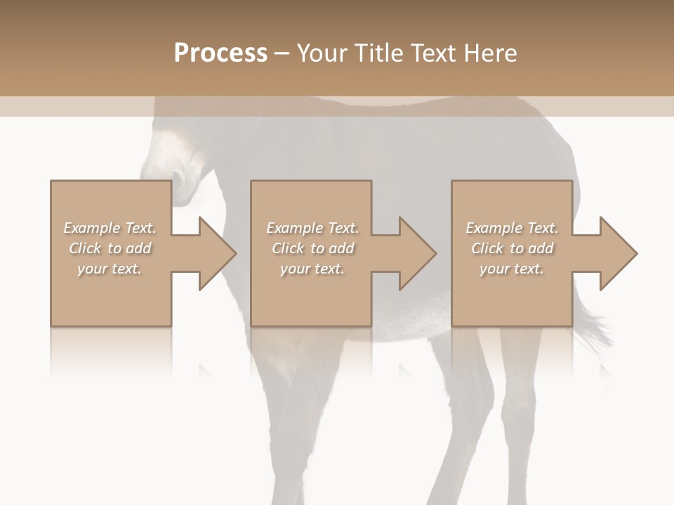 Ass Headstrong Dun PowerPoint Template