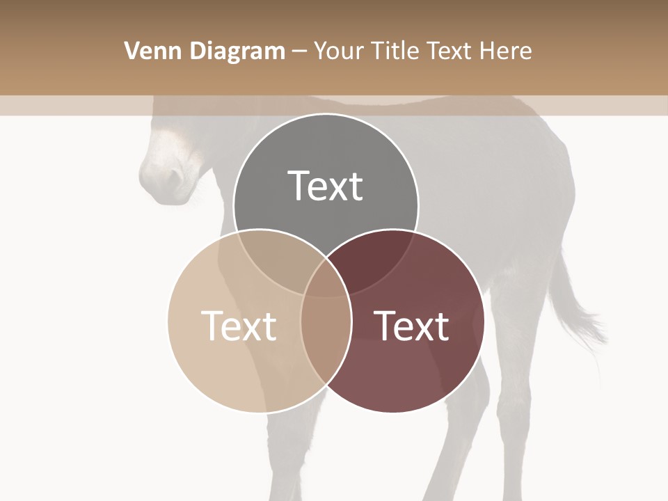 Ass Headstrong Dun PowerPoint Template