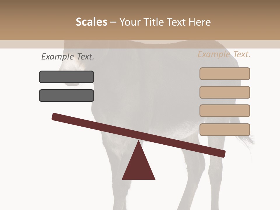 Ass Headstrong Dun PowerPoint Template