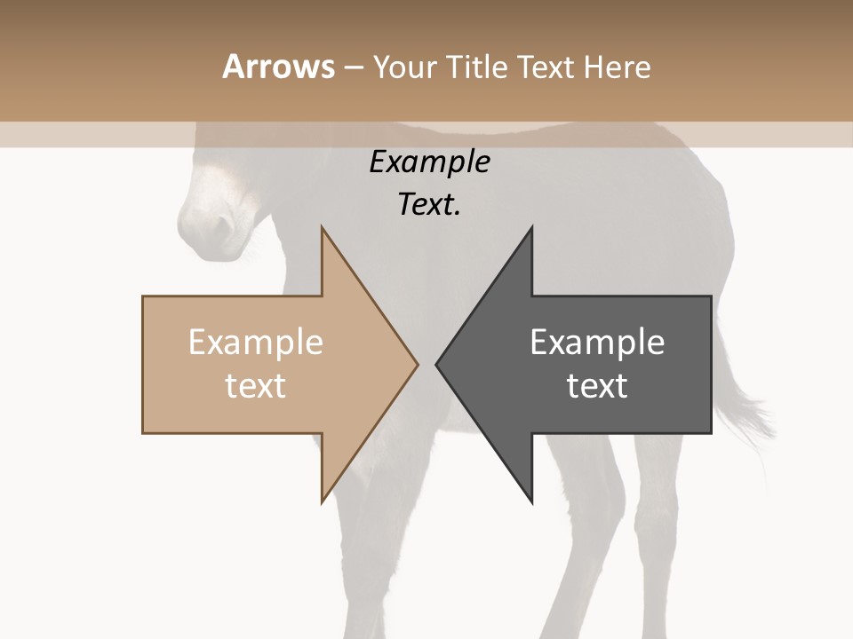 Ass Headstrong Dun PowerPoint Template