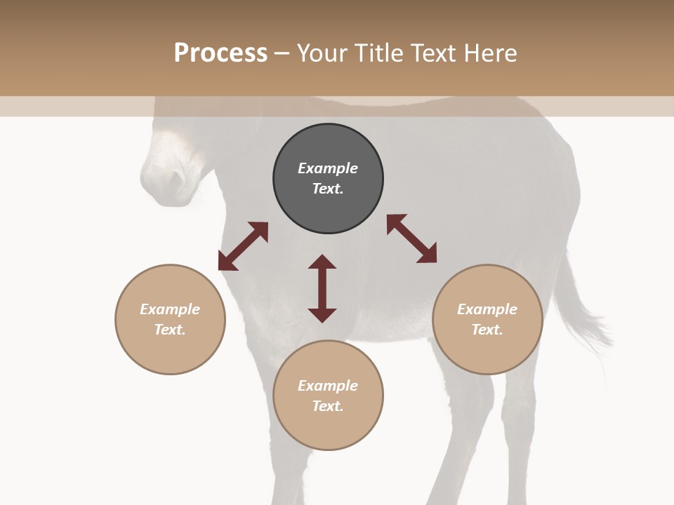 Ass Headstrong Dun PowerPoint Template