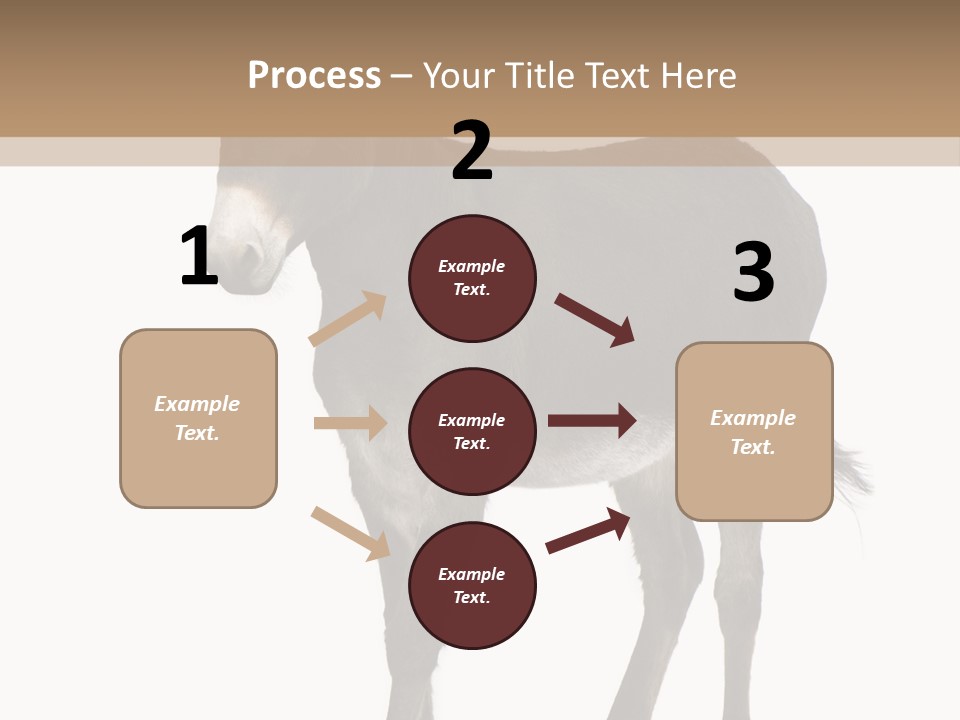 Ass Headstrong Dun PowerPoint Template