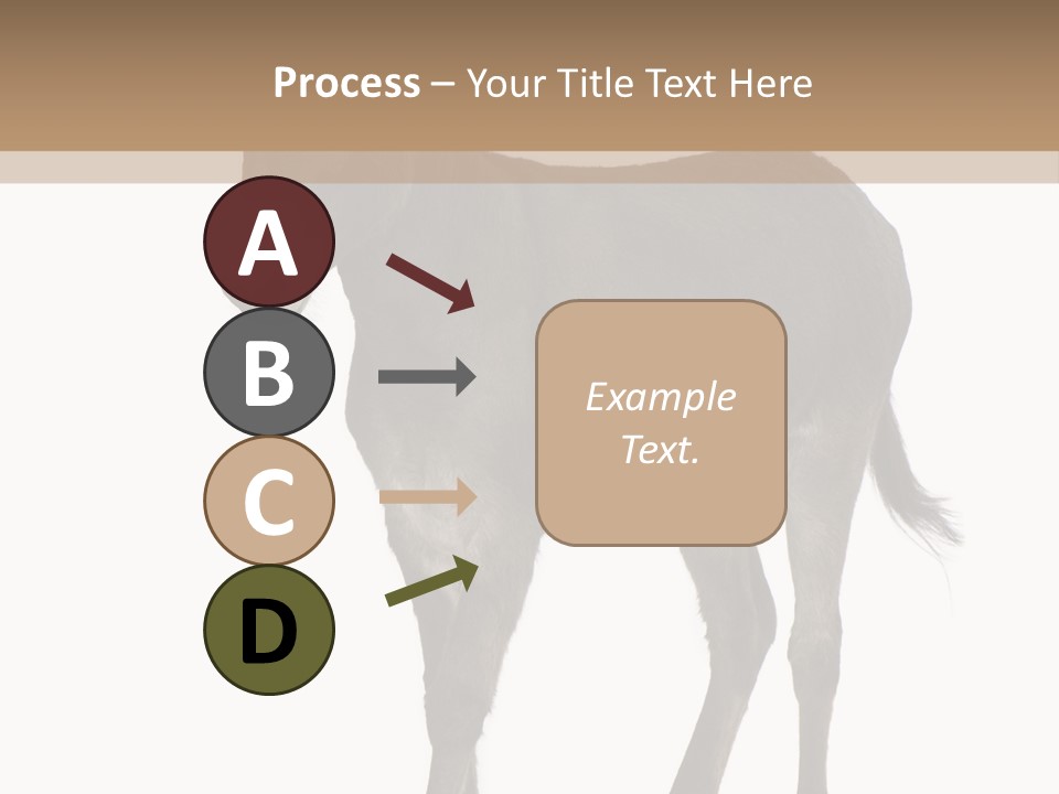 Ass Headstrong Dun PowerPoint Template