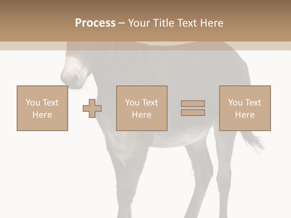 Ass Headstrong Dun PowerPoint Template