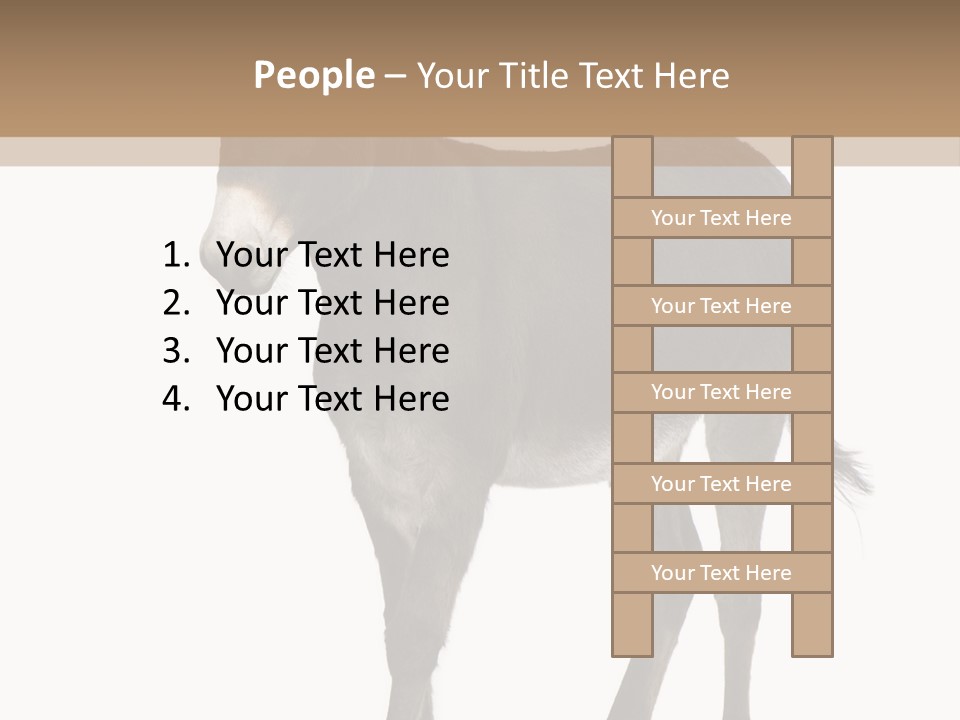 Ass Headstrong Dun PowerPoint Template