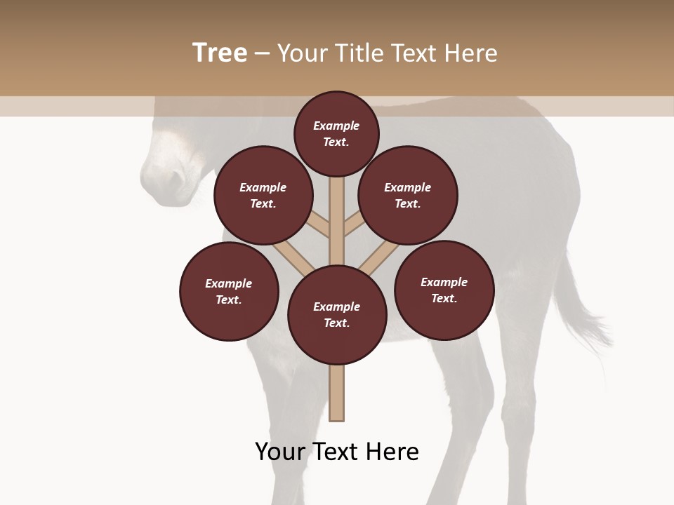 Ass Headstrong Dun PowerPoint Template